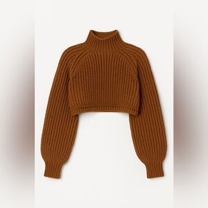 Brown Knitted Cropped Sweater